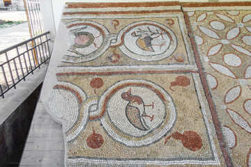 Floor mosaics from Byzantine times (VI AD). They depicting walking birds, geometric ornaments and stylized fruits. Authors are unknown