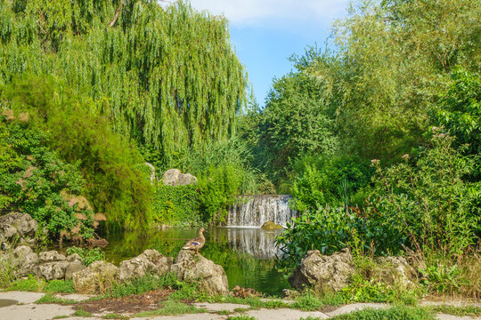 Panorama of forest by lake. Family of ducks is near coast. Green forest wall and waterfall are on background. Shot in Vorontsov park (Salgirka), Simferopol, Crimea