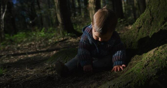 A little baby is sitting on the ground by a tree in the woods on a sunny spring day