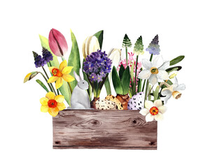 Watercolor spring flowers. Tulips, daffodils, hyacinths, muscari. Easter flowers, eggs on white background.