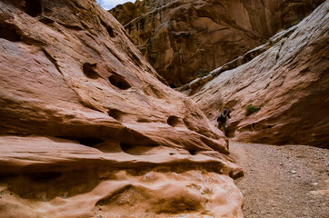 Eroded by water and wind cliffs in the canyon. Little Wild Horse Canyon. San Rafael Swell, Utah