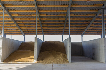 Warehouse for grain storage. View inside a large grain drying store. Grain storage hangar. Agricultural complex on a farm