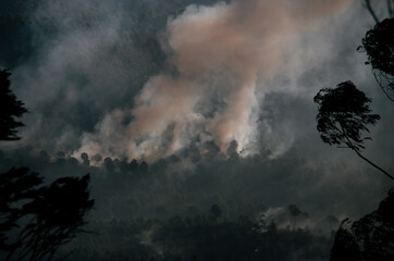 Incendio en Almonaster la Real