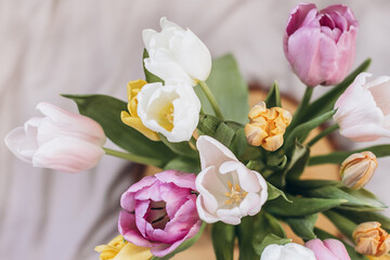 Naklejka na ściany i meble bouquet of tulips close-up