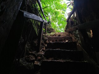 Cave exit in a natural forest