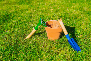 Flower pot empty with blue shovel in fresh green grass background texture,...
