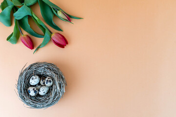 Tulipani rossie nido con piccole uova su sfondo arancione