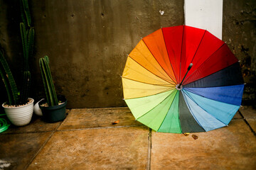 colorful umbrella on rainy day