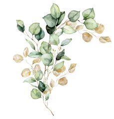 Watercolor floral card of gold eucalyptus seeds, leaves and branches. Hand painted silver dollar eucalyptus bouquet isolated on white background. Illustration for design, print, fabric or background.
