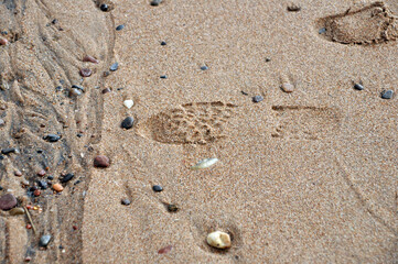 Footprint in the sand