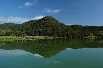 Fototapeta na wymiar 京都　広沢池の風景