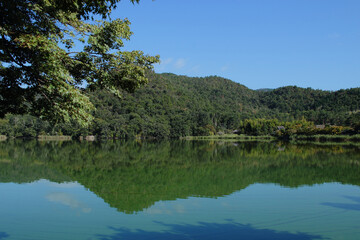 京都　広沢池の風景