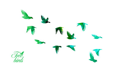 Bird watercolor. A flock of colorful birds. Mixed media. Vector illustration