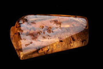 An horizontal close up of polished piece of amber, fossil resin with several insects isolated on...