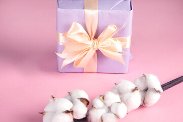 Fototapeta na wymiar gift box with cotton branch