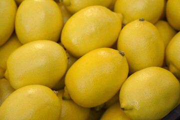 harvest of ripe juicy lemons.