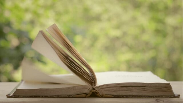 Open ancient book with pages stirring from gusts of strong wind against green defocused foliage. Selective focus on the book