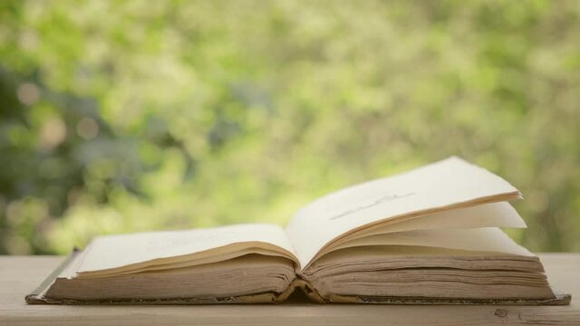 Open ancient book with pages moving from strong wind against green defocused foliage. Selective focus on the book