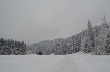 Das Haus im Schnee