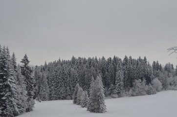 Wintertraum