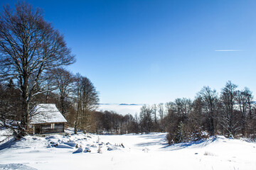 Fototapeta na wymiar Tara Mountain, winter landscape with a view of the fog in the distance.