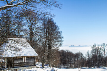 A popular tourist destination, Mount Tara in Serbia - a view of natural beauty.