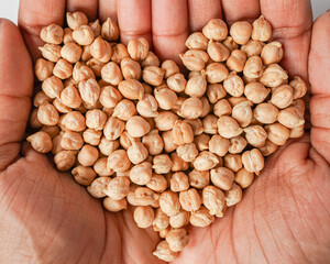 Black hands holding grains of chickpeas