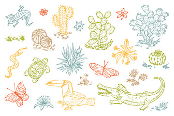 Mexico Vector set. Mexican flora and fauna. Nature of Mexico - Plants and animals. Hand drawn doodle Cactus, butterflies, reptiles, crocodile, toucan bird