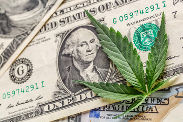 Legality of cannabis, legal and illegal cannabis on the world.Marijuana Cannabis business concept....