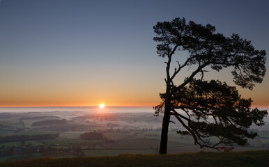 sunburst corona sun flares on the horizon silhouette a lone scots pine tree with mist filled valley below in the vale of Pewsey below; Martinsell Hill, Wiltshire