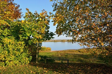 Autumn trees with colorful autumn foliage and old bench on the background of the river. Autumn landscape 