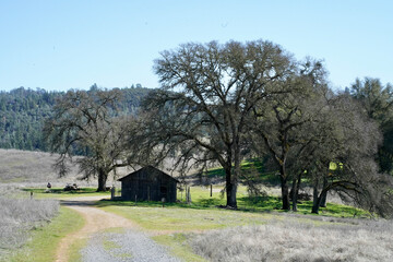 Obraz premium old farm house