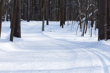 Bend of the ski track in the winter forest, landscape.