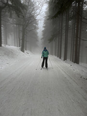 cross-country skier on a forest road in the fog