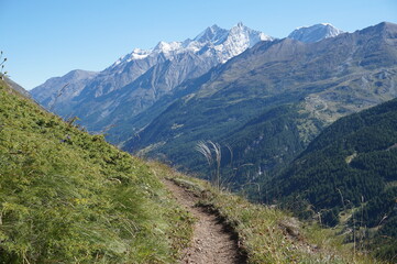 Hiking path in the mountains in Swiss alps