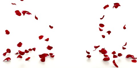 Red rose petals fall on the white mirrored floor