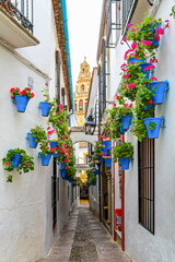 Blaue Blumentöpfe an weißen Häusern der Calleja de las Flores  im alten jüdischen Viertel mit Blick auf die Mezquita von Cordoba, Andalusien, Spanien
