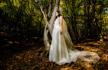 beautiful bride in wedding dress in amazing autumn landscape