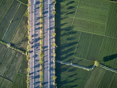 Aerial view of cyclists on a road through rural landscape, Mataram city, Lombok, Indonesia
