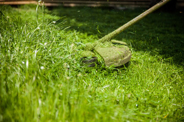 mowing a green lawn with a lawn mower