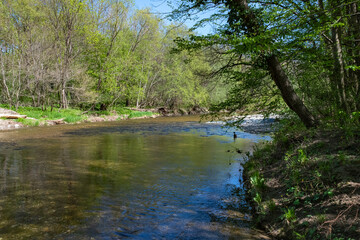 Flussufer im Frühling