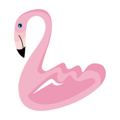 flamingo exotic bird