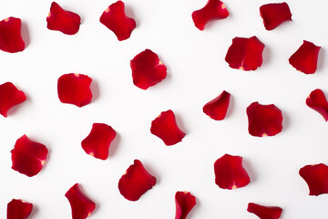 Photo overhead of roses and petals isolated on the white background