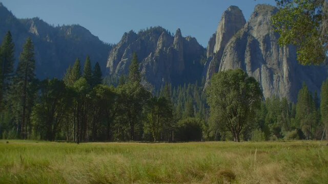 Forest Trees and Granite Cliffs at Yosemite Park on a Sunny Day