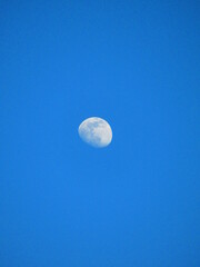Mond