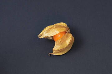 Juicy physalis fruit on the dark background