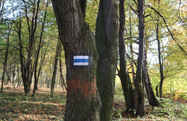 Znak turystyczny na drzewie
