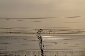 power lines and wires