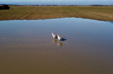 DCIM\101MEDIA\DJI_0374.JPG © Maciej