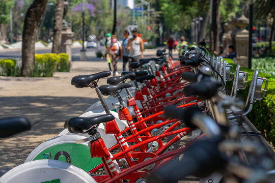 Bicicletas formadas en avenida paseo de la reforma